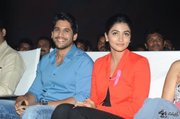 Oka Laila Kosam Movie Audio Success Function